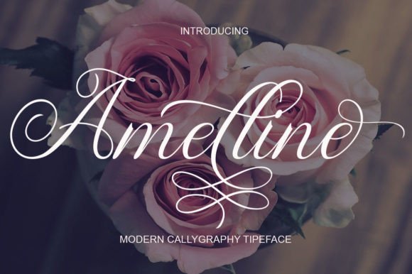 Amelline: A Modern Script Font