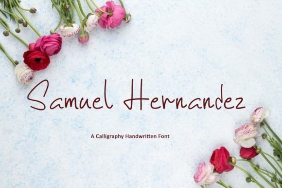Samuel Hernandez Font