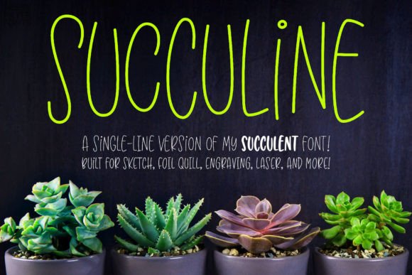 Succuline Single Line Font