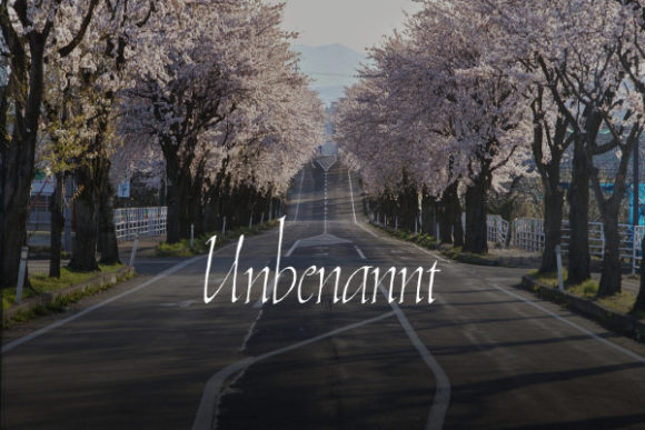 Unbenannt: A Handwritten Font for Creative Projects